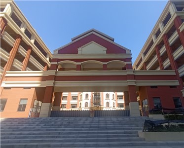 優(yōu)化IP會(huì)議擴(kuò)聲系統(tǒng)：解決回聲與噪音干擾，提升遠(yuǎn)程會(huì)議體驗(yàn)